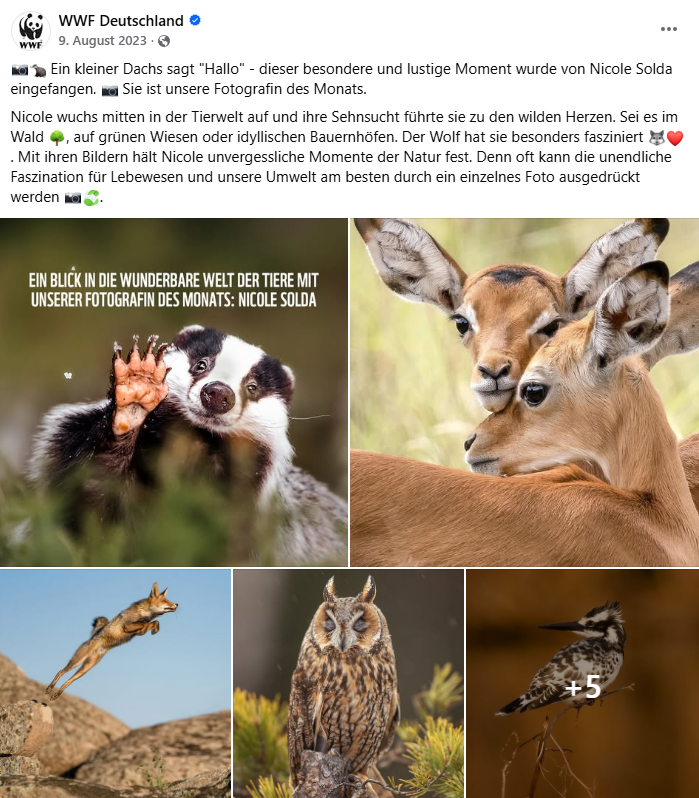 WWF - Foto des Monats